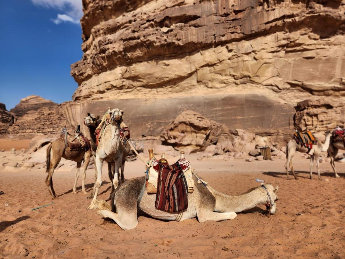 White Desert Camp Ram Vadisi Dış mekan fotoğraf